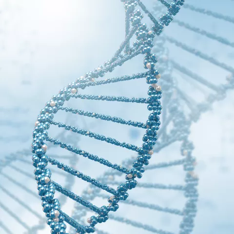 Illustration of Pharmaceutique et Cosmétique